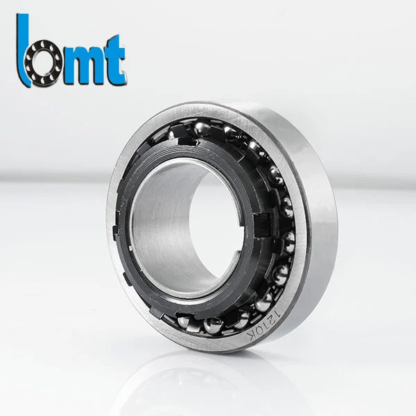 1300 Series Self Aligning Ball Bearings